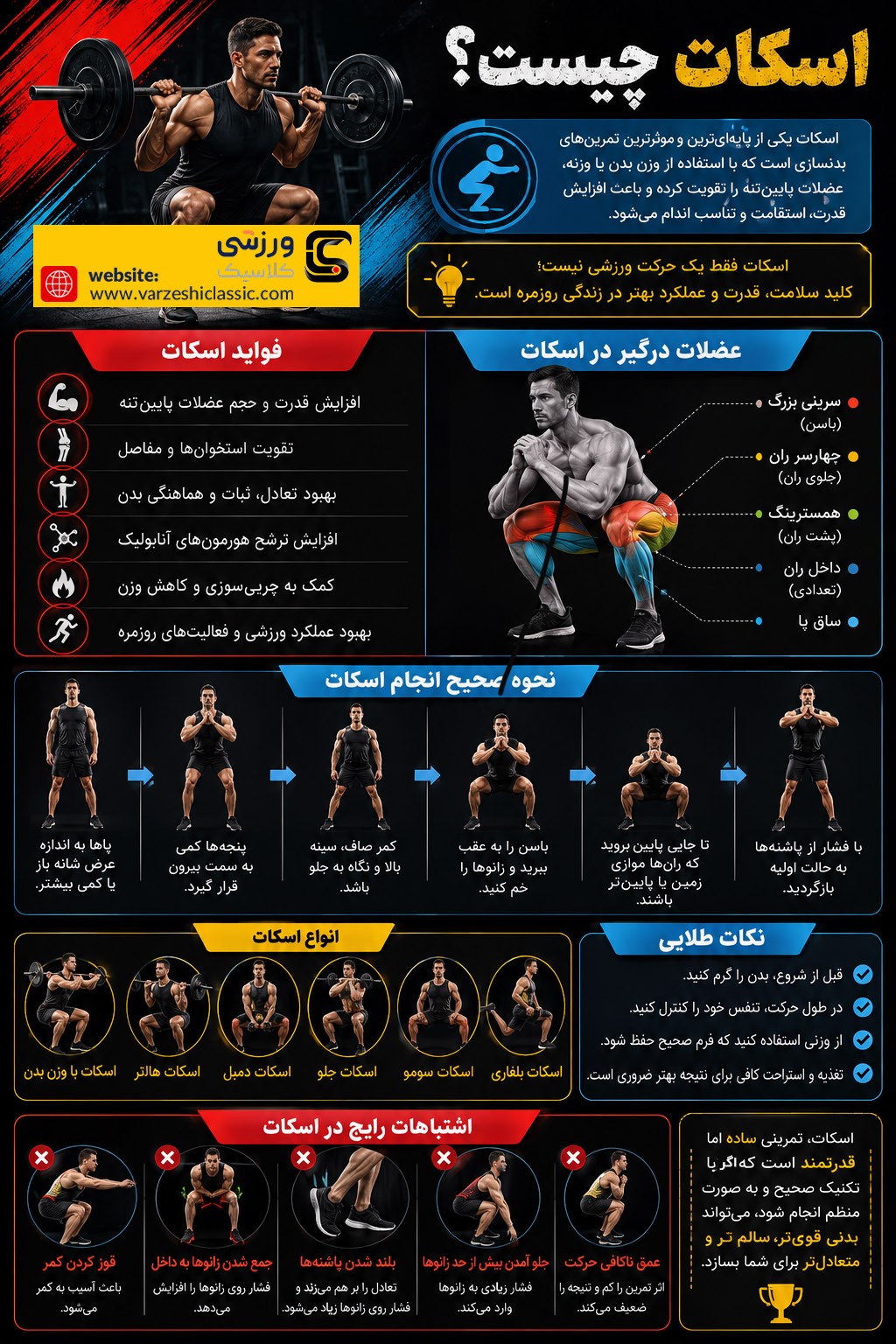 انواع اسکات