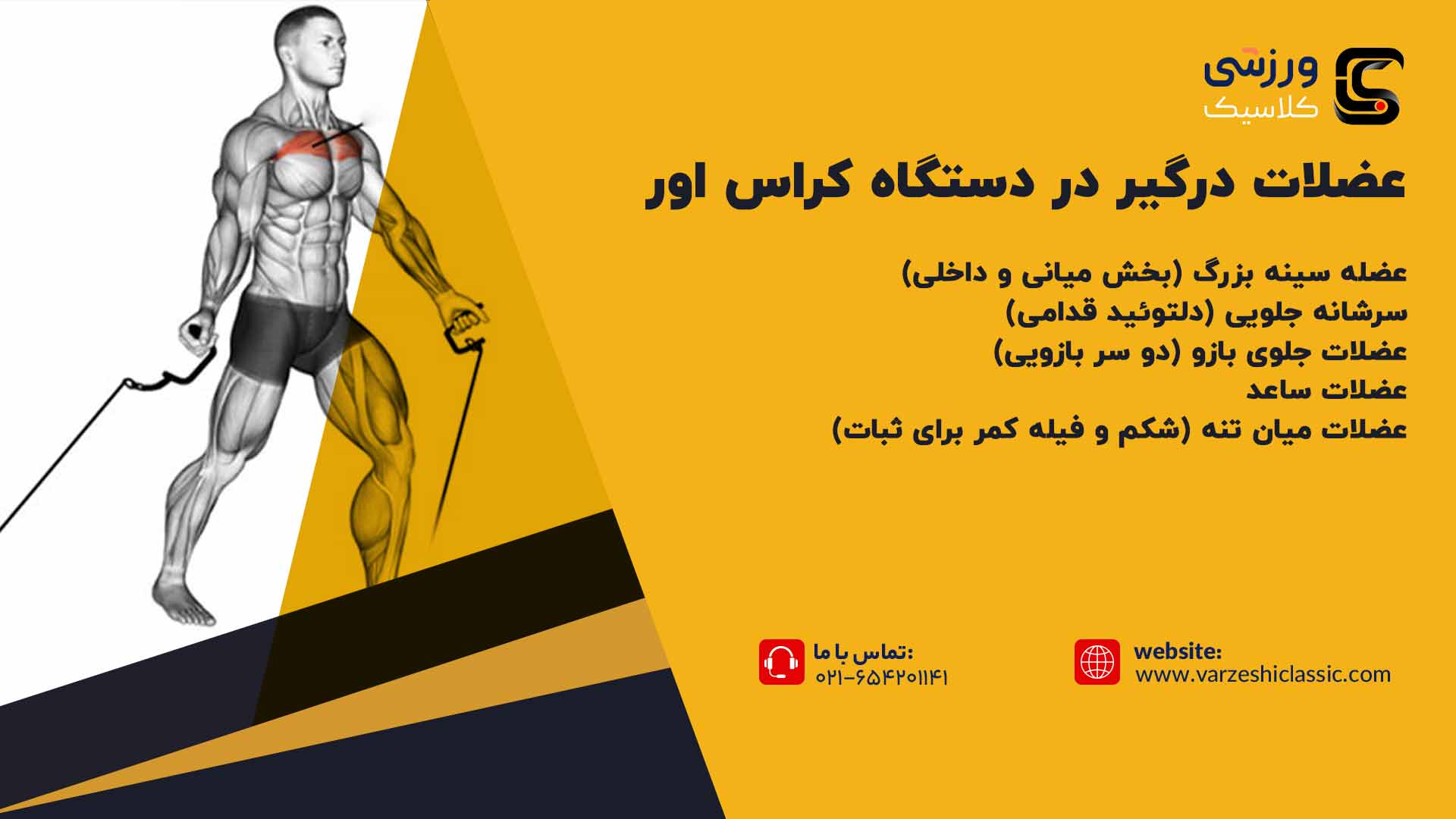 عضلات درگیر در دستگاه کراس اور